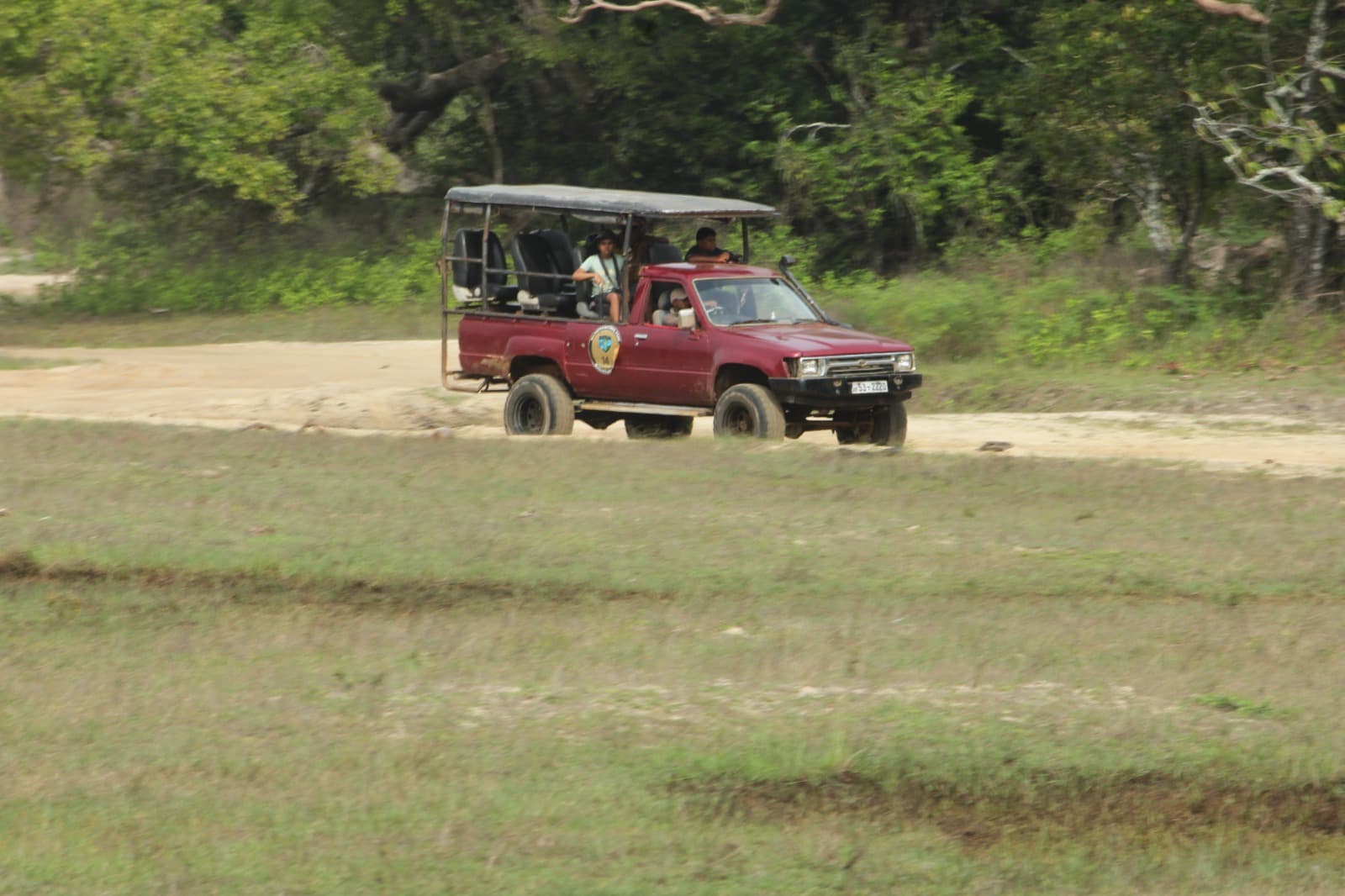 All-inclusive half day safari